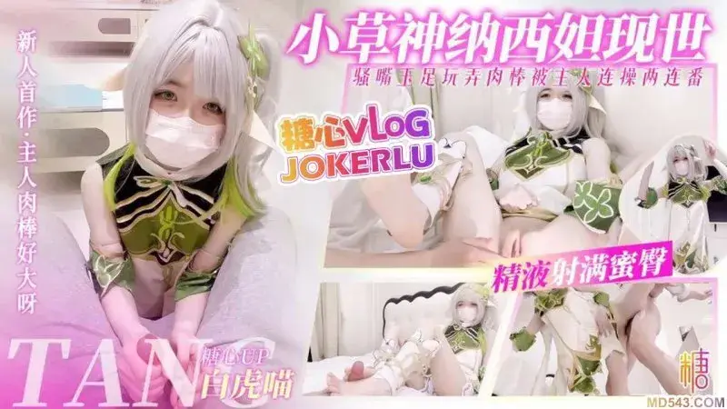 白虎喵 小草神纳西妲现世