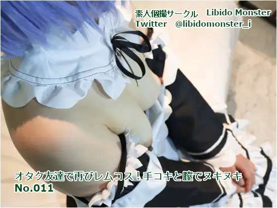 LM011 オタク友達で再びレムコス！手コキと膣でヌキヌキ