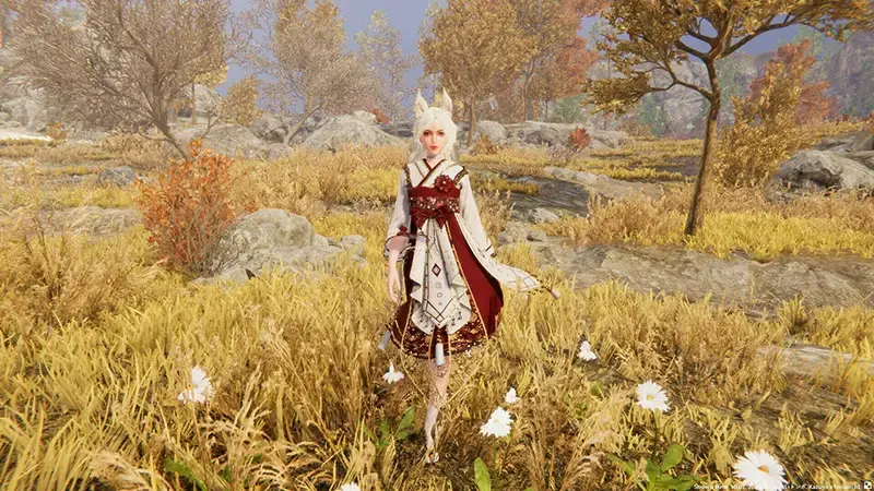 cyzd