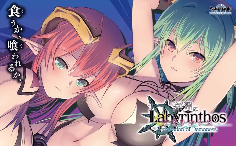 R11246 【RPG/ADV/内嵌机翻】深渊的Labyrinth / 深淵のラビリントス Ver1.02 +特典【3G】