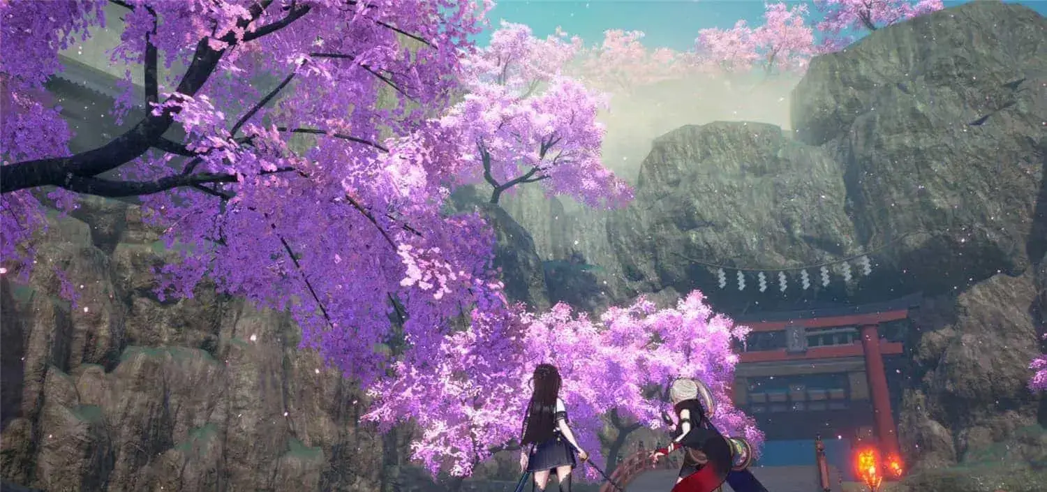 cyzd