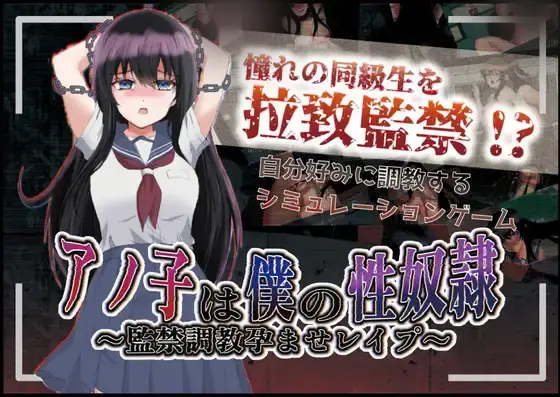 R6675 【日系RPG/GPT汉化】アノ子は僕の姓奴隷 〜監禁調教孕ませレイプ 那孩子是我的姓奴之监禁调o教1.01汉化版[PC+安卓1.78G]