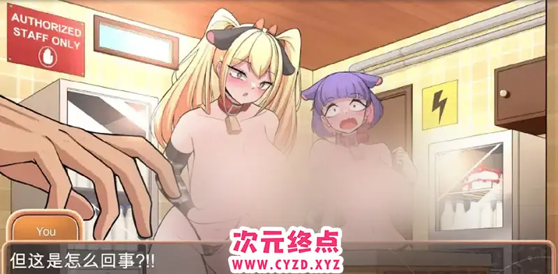 cyzd
